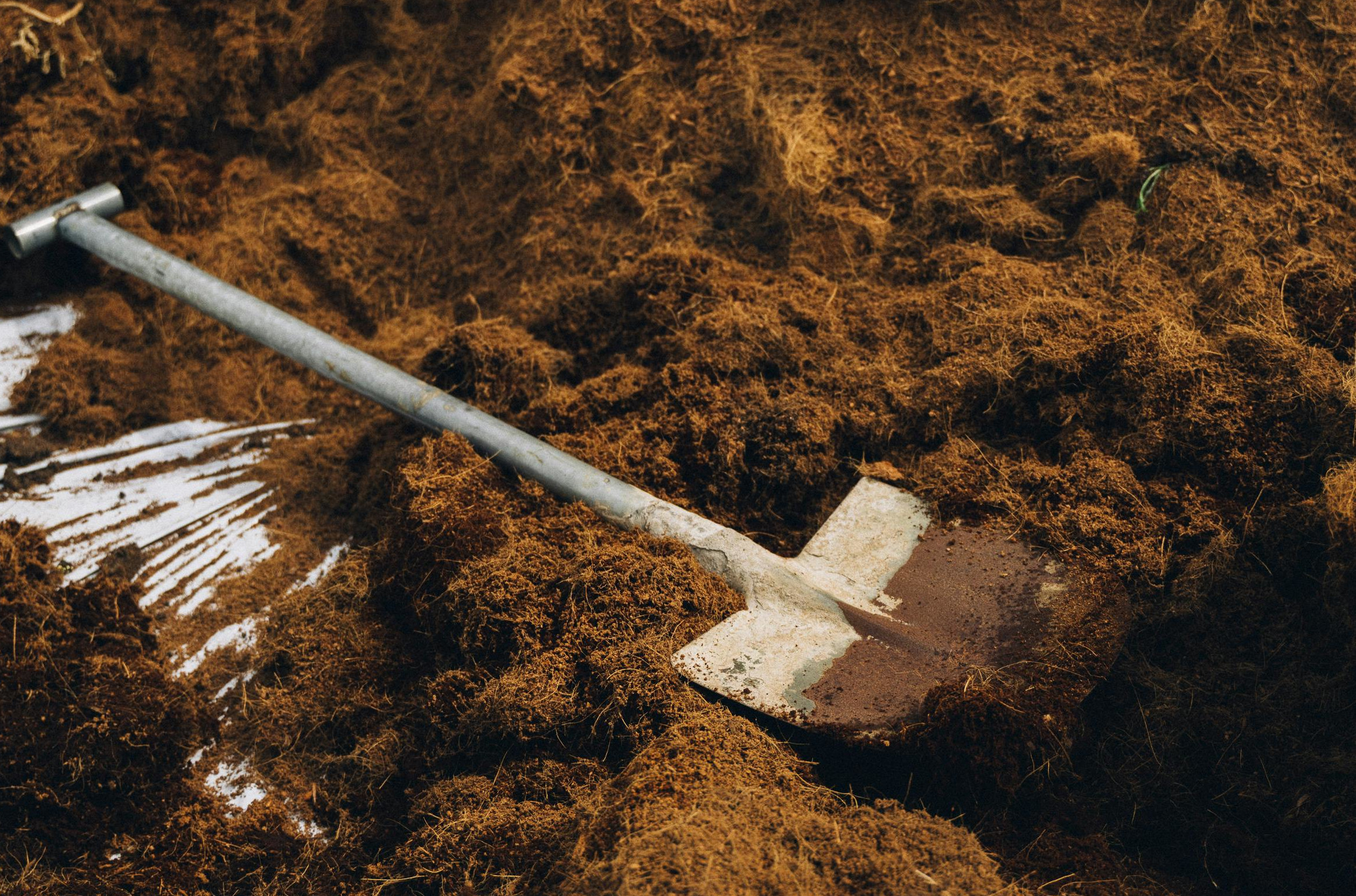 Image of a shovel laying in dirt